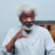 ‘Why Proscribe IPOB And Not Miyetti Allah?’ – Soyinka On Farmer-Herder Crisis
