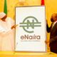 Nigerians to access eNaira through USSD – CBN