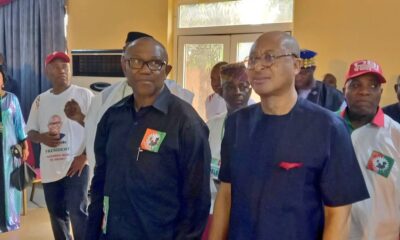 Peter Obi Campaign To Set Up Donation Portals Next Week – Pat Utomi