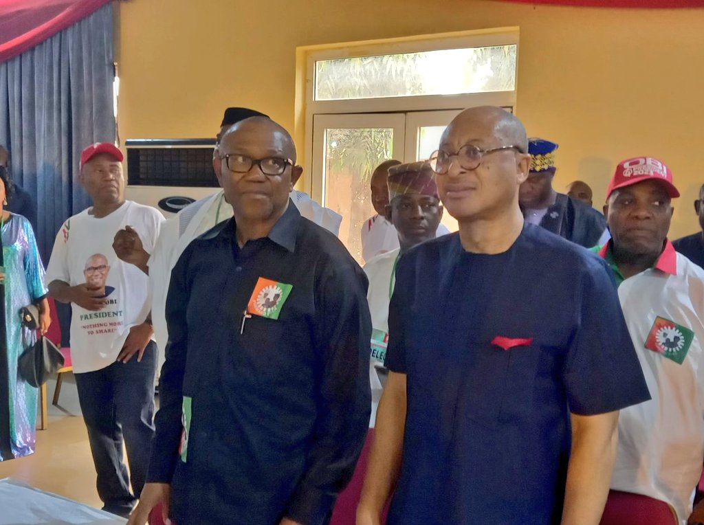 Peter Obi Campaign To Set Up Donation Portals Next Week – Pat Utomi