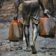 Oil Theft: 58 Illegal Oil Points Discovered So Far In Delta, Bayelsa – Tompolo